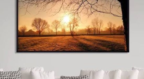 images (4)